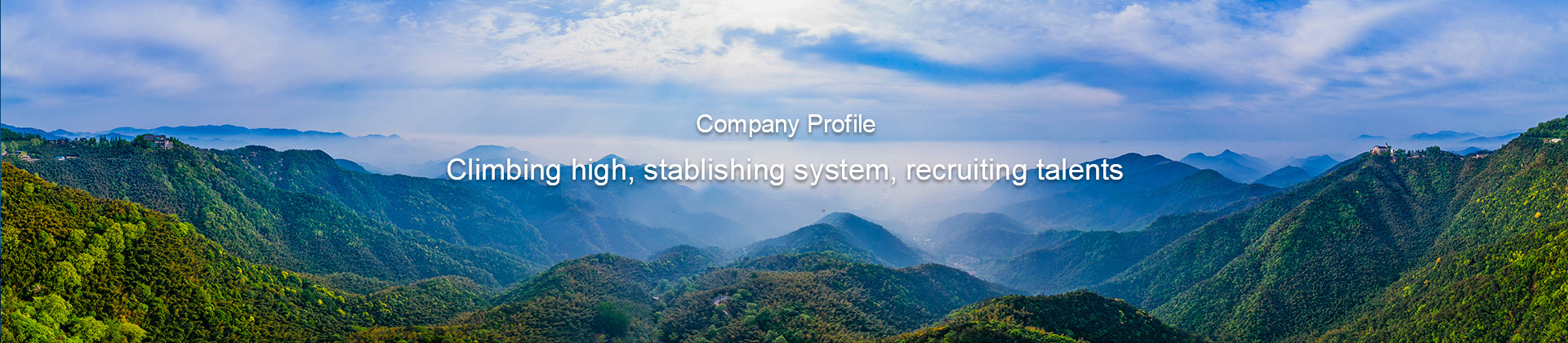  Company Profile